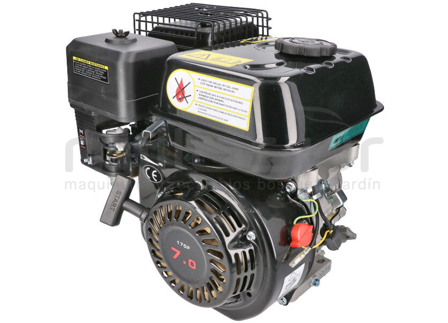 Motor Completo 7CV RLT12GVH (49), BIO70 (24)