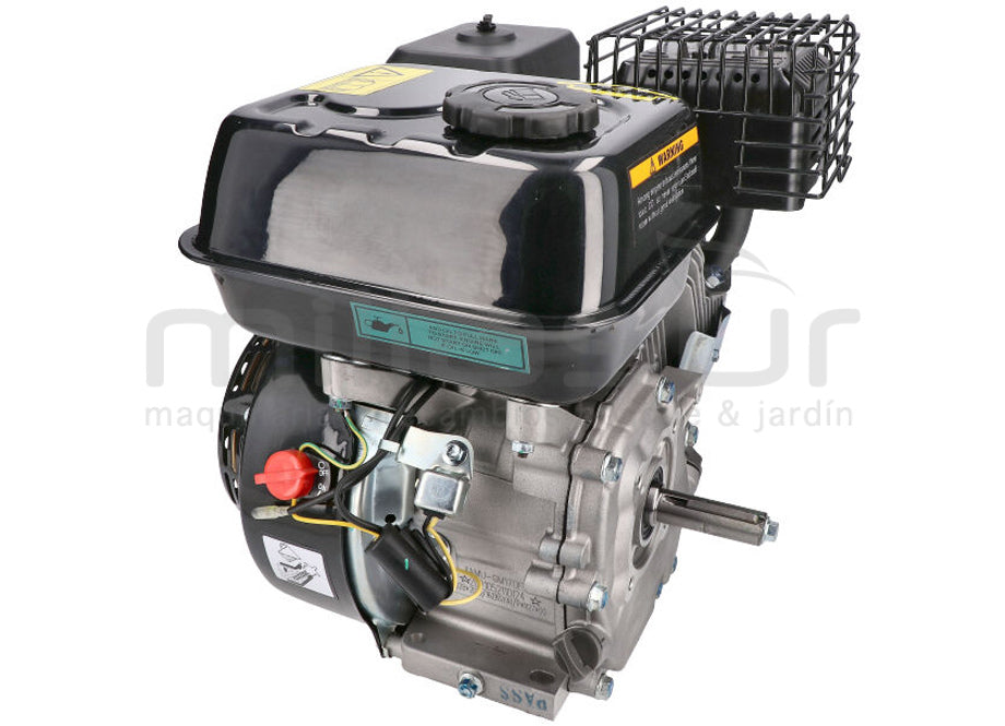 Motor Completo 7CV RLT12GVH (49), BIO70 (24)