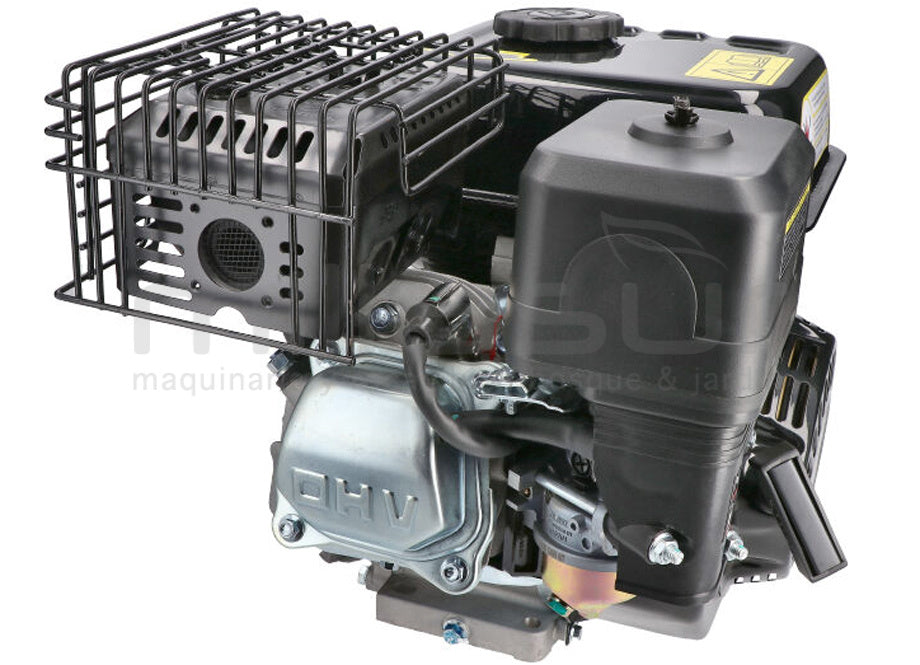 Motor Completo 7CV RLT12GVH (49), BIO70 (24)