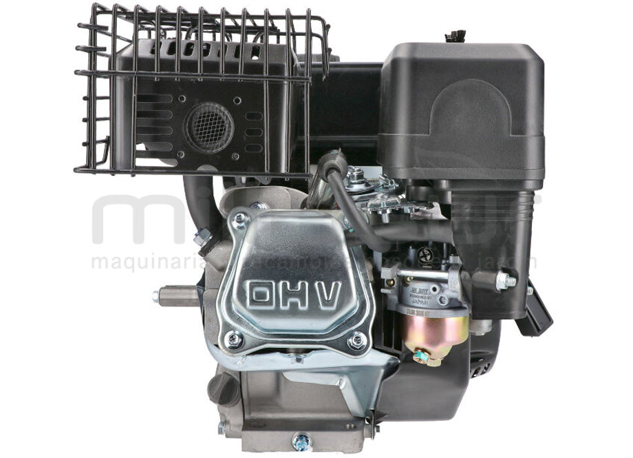 Motor Completo 7CV RLT12GVH (49), BIO70 (24)